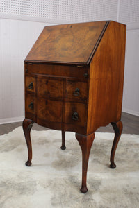 English Burl Walnut Fall Front Desk c.1900