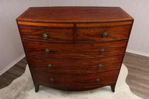 Handsome English Georgian Mahogany Bowfront Chest c.1830