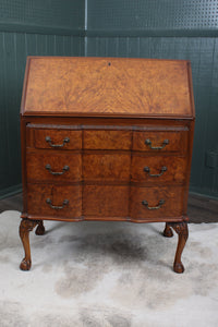 English Burl Walnut Desk c.1900