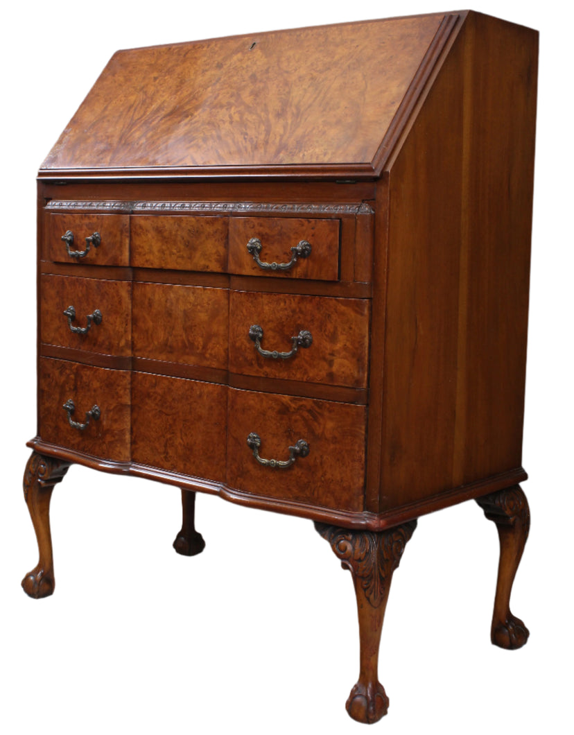 English Burl Walnut Desk c.1900