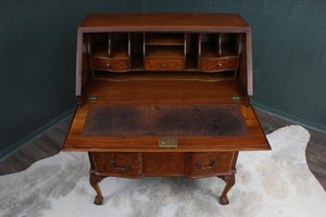 English Burl Walnut Desk c.1900