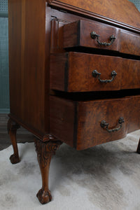 English Burl Walnut Desk c.1900