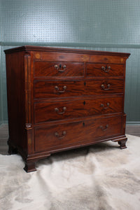 English Mahogany Georgian Chest c.1830