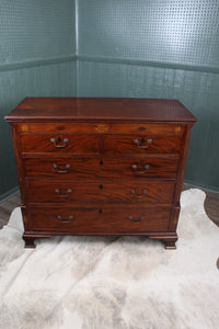 English Mahogany Georgian Chest c.1830