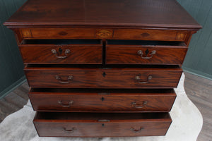 English Mahogany Georgian Chest c.1830