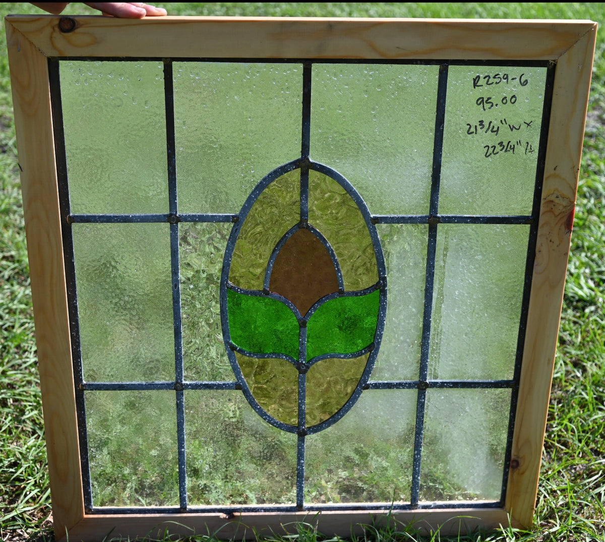 NZ5_3487_6cc74fc2aad74b6ca8718bb1644e3ec3_1200x1200.jpg?v=1694924020