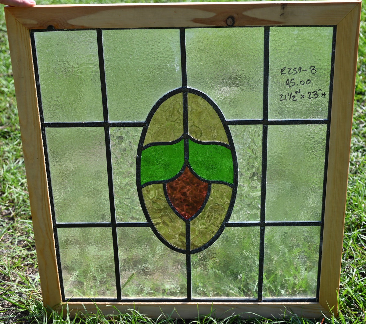 NZ5_3494_22dacfaf30f94065a9db6b738686820c_1200x1200.jpg?v=1695002123