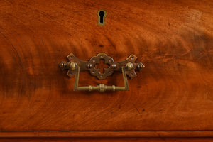 English Walnut Bookcase c.1900